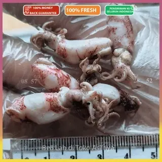Sortir Cumi Baby Asin Ukuran 1-4cm