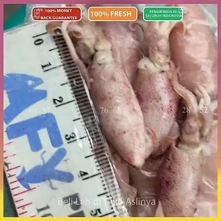Cumi Asin Sedang 3-5cm Pilihan