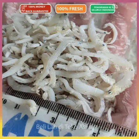 Teri Nasi Medan Super